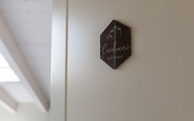 San Lorenzo Apartments